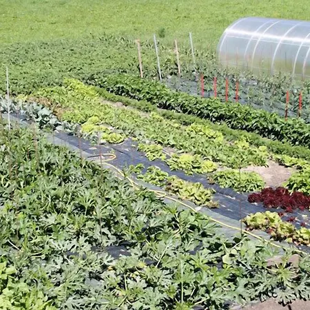 Comtes De Challant Etico Valle D'aosta 3*